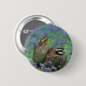 Bobwhite Quail-fotografie Ronde Button 5,7 Cm (Voorkant /achterkant)