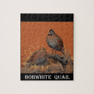 Bobwhite Quail (Georgia, Missouri en Tennessee) Legpuzzel