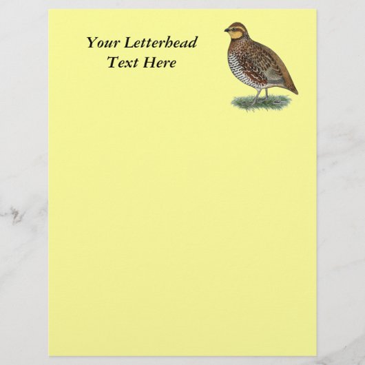 Bobwhite Quail Hen (Voorkant)