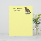 Bobwhite Quail Hen (Staand voorkant)