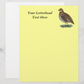 Bobwhite Quail Hen (Voorkant / Achterkant)