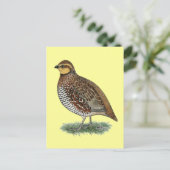 Bobwhite Quail Hen Briefkaart (Staand voorkant)