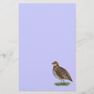 Bobwhite Quail Hen Briefpapier