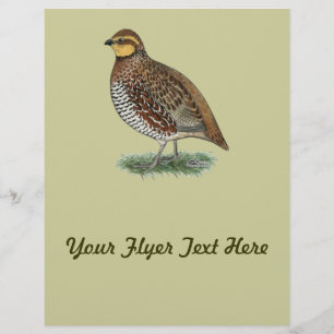 Bobwhite Quail Hen Flyer