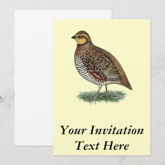 Bobwhite Quail Hen Kaart (Voorkant / Achterkant)