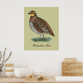 Bobwhite Quail Hen Poster (Keuken)
