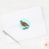 Bobwhite Quail Hen Ronde Sticker (Envelop)