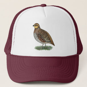 Bobwhite Quail Hen Trucker Pet