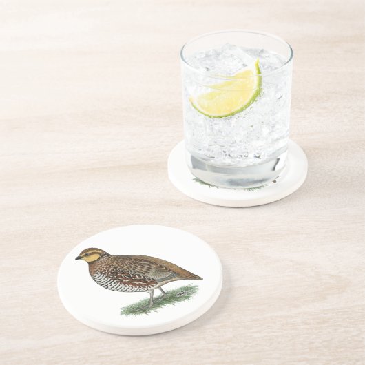 Bobwhite Quail Hen Zandsteen Onderzetter (Zijkant)