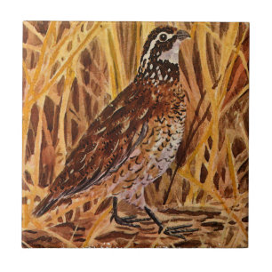 Bobwhite Quail Logo (veld) Tegeltje