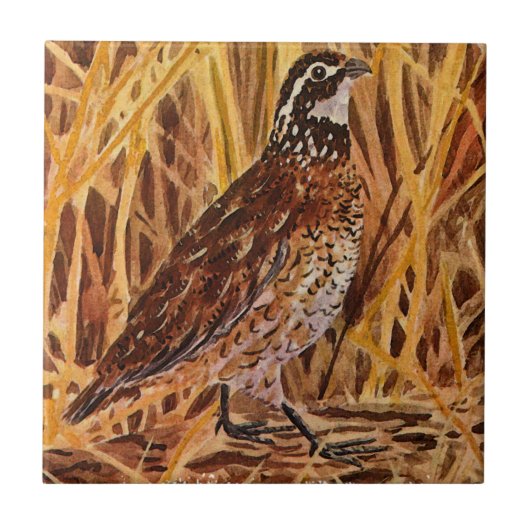 Bobwhite Quail Logo (veld) Tegeltje (Voorkant)