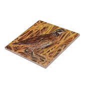 Bobwhite Quail Logo (veld) Tegeltje (Zijkant)