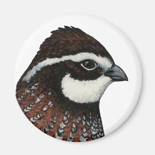 Bobwhite Quail Magneet (Voorkant)