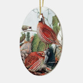 Bobwhite Quail Ornament (Links)