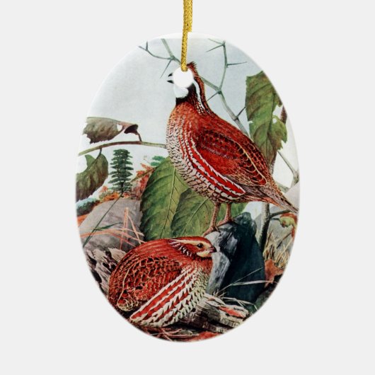 Bobwhite Quail Ornament (Voorkant)