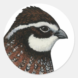 Bobwhite Quail Ronde Sticker