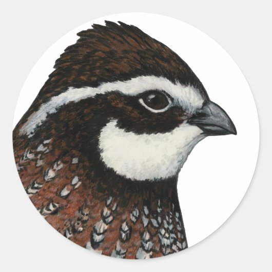 Bobwhite Quail Ronde Sticker (Voorkant)