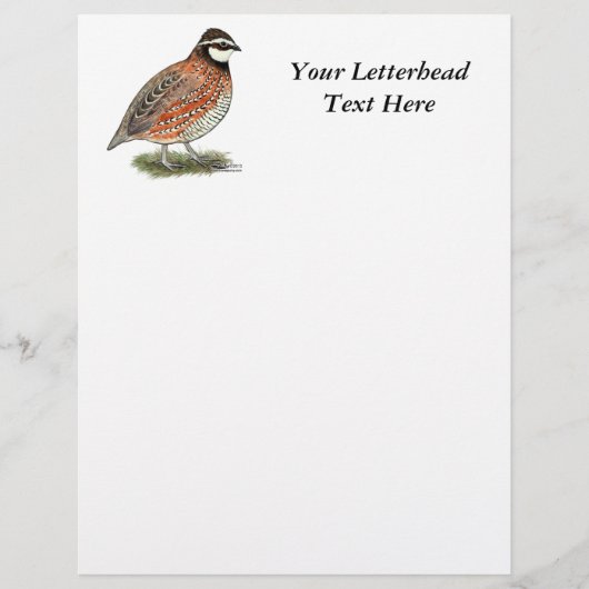 Bobwhite Quail Rooster (Voorkant)