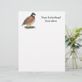 Bobwhite Quail Rooster (Staand voorkant)