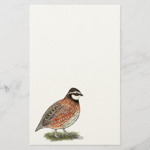 Bobwhite Quail Rooster Briefpapier