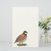 Bobwhite Quail Rooster Briefpapier (Staand voorkant)