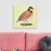 Bobwhite Quail Rooster Canvas Afdruk (Insitu (Woonkamer))