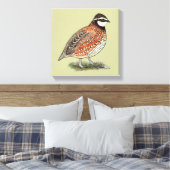 Bobwhite Quail Rooster Canvas Afdruk (Insitu (Slaapkamer))