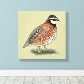 Bobwhite Quail Rooster Canvas Afdruk (Insitu (Houten vloer))