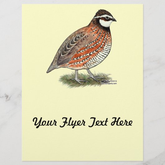 Bobwhite Quail Rooster Flyer (Voorkant)