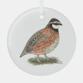 Bobwhite Quail Rooster Glas Ornament (Voorkant)