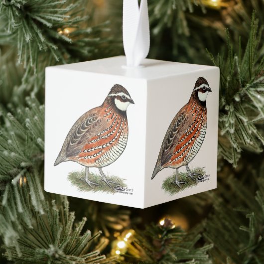 Bobwhite Quail Rooster Kubus Ornament (Boom)