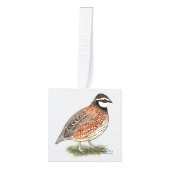 Bobwhite Quail Rooster Kubus Ornament (Voorkant)