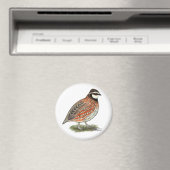 Bobwhite Quail Rooster Magneet (Insitu (Vaatwasser))