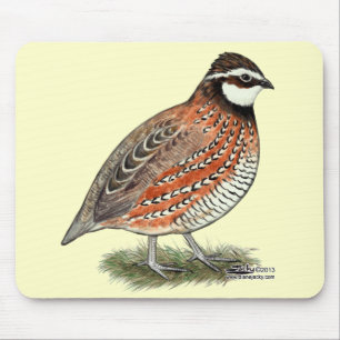 Bobwhite Quail Rooster Muismat