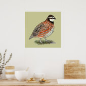 Bobwhite Quail Rooster Poster (Keuken)