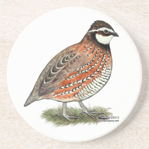 Bobwhite Quail Rooster Zandsteen Onderzetter