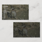 Bobwhite Quail Visitekaartje (Voorkant / Achterkant)
