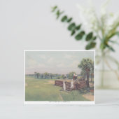  Boca Grande, golfbaan van Florida Briefkaart (Staand voorkant)