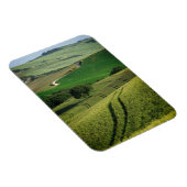 Bochtige lijnen in groene Toscaanse verticale magn Magneet (Rechterzijde)