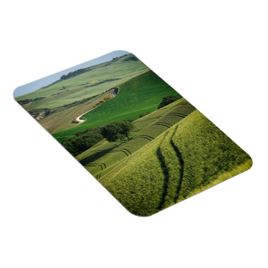 Bochtige lijnen in groene Toscaanse verticale magn Magneet (Rechterzijde)