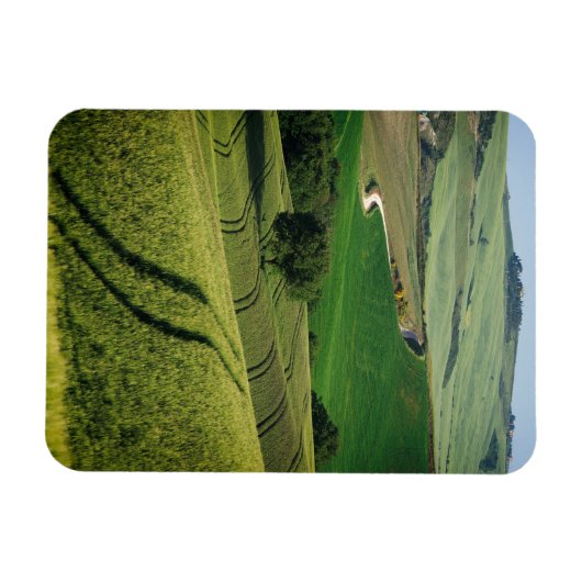 Bochtige lijnen in groene Toscaanse verticale magn Magneet (Horizontaal)