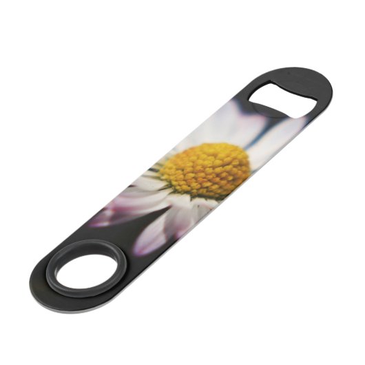 Bocnm de marguerite commune (Devant angulaire)