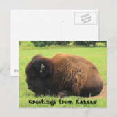 Bodalo, Greetings uit Kansas. Briefkaart (Voorkant / Achterkant)