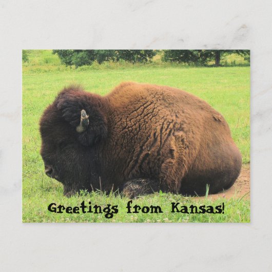 Bodalo, Greetings uit Kansas. Briefkaart (Voorkant)