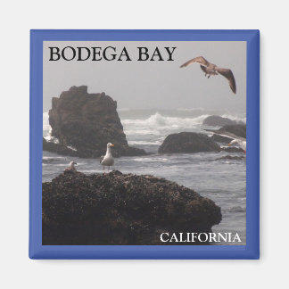 Bodega Bay magnet Magneet