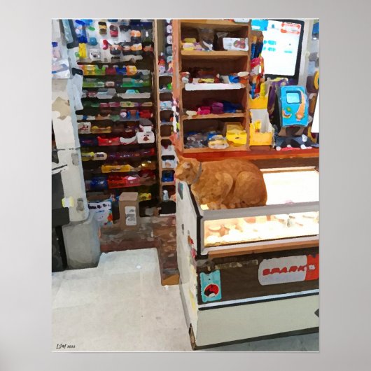 Bodega Cat Poster (Voorkant)