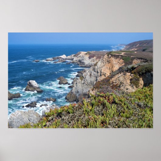 Bodega Head Rugged Coast and Trail Poster (Voorkant)