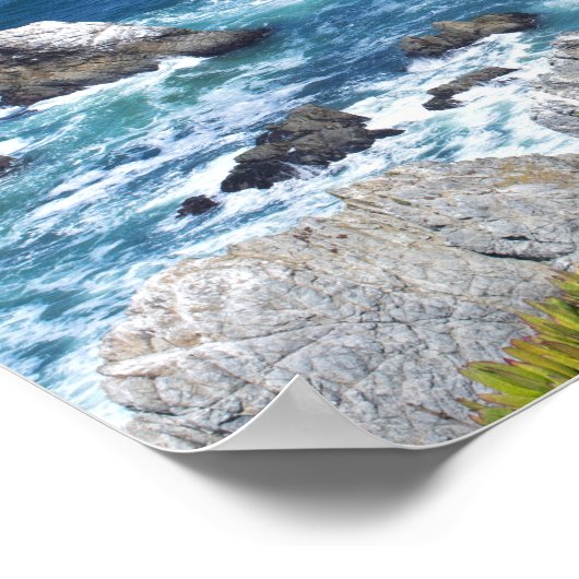 Bodega Head Rugged Coast and Trail Poster (Hoek)