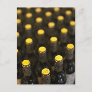 Bodega Marques de Riscal wijnmakerij, flessen wijn Briefkaart