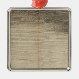 Bodembaai, Zuid-Georgië Metalen Ornament